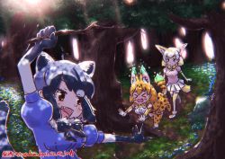 Rule 34 | 3girls, :d, animal ear fluff, animal ears, arm up, black hair, blonde hair, blue shirt, bow, bowtie, brown eyes, commentary request, common raccoon (kemono friends), dated, day, elbow gloves, extra ears, fang, fennec (kemono friends), forest, fox ears, fox tail, fur collar, gloves, grey hair, holding, holding stick, kemono friends, multicolored hair, multiple girls, nakashi masakumi, nature, open mouth, outdoors, pink shirt, pleated skirt, print bow, print gloves, print legwear, print neckwear, print skirt, puffy short sleeves, puffy sleeves, raccoon ears, raccoon tail, serval (kemono friends), serval print, serval tail, shirt, short sleeves, skirt, smile, stick, tail, thighhighs, tree, tripping, twitter username, white skirt, xo