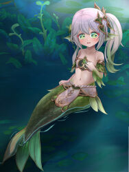 Rule 34 | 1girl, absurdres, bare arms, breasts, genshin impact, green eyes, green hair, hair ornament, highres, lily pad, looking at viewer, medium breasts, mermaid, monster girl, monsterification, multicolored hair, nahida (genshin impact), pond, side ponytail, solo, stomach, two-tone hair, webbed hands, white hair, zephylyne