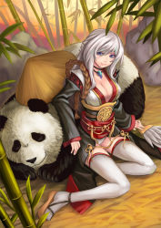 Rule 34 | 1girl, bamboo, bamboo forest, blue eyes, breasts, cleavage, female focus, forest, full body, hat, kaizeru, large breasts, legs, magatama, nature, no bra, original, outdoors, panda, panties, sitting, smile, solo, thighhighs, underwear, white hair, white thighhighs
