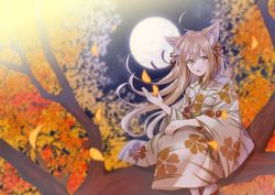 Rule 34 | 1girl, ahoge, animal ear fluff, animal ears, autumn, autumn leaves, blurry, branch, brown eyes, brown hair, brown kimono, commentary request, depth of field, falling leaves, floating hair, floral print, fox ears, full moon, hair ribbon, japanese clothes, kimono, leaf, long hair, long sleeves, looking at viewer, moon, myusha, night, open mouth, original, outdoors, print kimono, ribbon, sandals, sitting, solo, wide sleeves, zouri