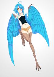 Rule 34 | 1girl, absurdres, ahoge, animal hands, bare shoulders, bird legs, blue hair, blue wings, breasts, claws, feathered wings, feathers, harpy, highres, midriff, monster girl, monster musume no iru nichijou, navel, open mouth, papi (monster musume), savamther, short hair, short shorts, shorts, sidelocks, simple background, small breasts, solo, talons, white background, winged arms, wings, yellow eyes