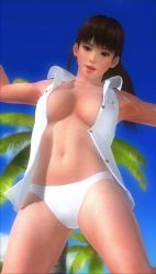 Rule 34 | breasts, dead or alive, highres, lei fang, long hair, open clothes, open shirt, panties, underwear