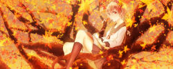Rule 34 | 1girl, autumn, autumn leaves, blurry, box, clipboard, depth of field, falling leaves, hair ornament, hairband, highres, in tree, kagari6496, knees, leaf hair ornament, looking at viewer, musical note, neckerchief, pen, pocky, sheet music, short hair, sitting, sketch, skirt, socks, solo, touhou, tree, branch, tsukumo yatsuhashi, writing