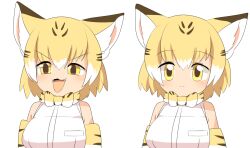 Rule 34 | 1girl, :3, animal ears, blonde hair, blush, bow, bowtie, breasts, cat ears, cat girl, closed mouth, commentary request, elbow gloves, expressionless, expressions, fangs, gloves, kemono friends, large breasts, lets0020, medium bangs, open mouth, sand cat (kemono friends), shirt, short hair, simple background, sleeveless, sleeveless shirt, smile, upper body, v-shaped eyebrows, white background, white hair, white shirt, yellow bow, yellow bowtie, yellow gloves