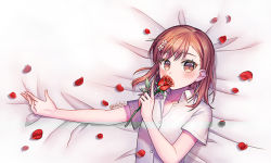 Rule 34 | 1girl, 4b, bad id, bad pixiv id, bed sheet, brown eyes, brown hair, collared shirt, dress shirt, flower, hair flower, hair ornament, hand up, holding, holding flower, long hair, looking at viewer, lying, misaka mikoto, on back, outstretched arm, petals, red flower, red rose, rose, rose petals, shirt, short sleeves, solo, toaru kagaku no railgun, toaru majutsu no index, white flower, white shirt