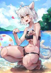 Rule 34 | 1girl, absurdres, ahoge, animal ears, animal hands, artist request, ball, beach, beachball, breasts, cat ears, cat paws, cat tail, claws, day, doll joints, fang, full body, highres, hunter x hunter, joints, looking at viewer, medium breasts, neferpitou, open mouth, river, short hair, smile, solo, swimsuit, tail, underboob, water, wavy mouth, white hair, yellow eyes