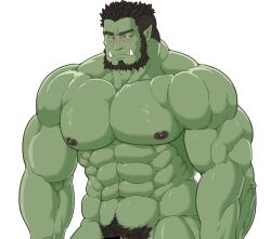 Rule 34 | 1boy, abs, averting eyes, bara, beard, blush, colored skin, completely nude, cowboy shot, facial hair, full beard, green skin, huge pectorals, large pectorals, male focus, male pubic hair, mature male, navel, nipples, nude, orc, original, pectorals, pointy ears, pubic hair, short hair, shy, solo, standing, strongman waist, tamineko, thick beard, thick eyebrows, tusks, white background