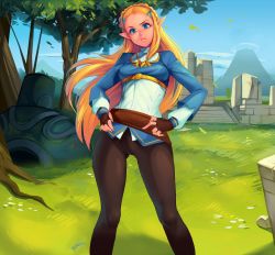Rule 34 | 1girl, black pants, cassettecreams, fingerless gloves, frown, gloves, grass, green eyes, hair ornament, hairclip, hands on own hips, highres, long hair, looking at viewer, loyproject, nintendo, outdoors, pants, pointy ears, princess zelda, sky, solo, the legend of zelda, the legend of zelda: breath of the wild, tight clothes, tight pants, tree