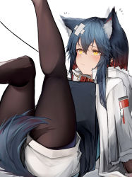 Rule 34 | 1girl, absurdres, animal ears, arknights, black pantyhose, blue hair, blush, closed mouth, collar, commentary request, highres, jacket, leash, leg up, long hair, long sleeves, official alternate costume, pantyhose, red collar, shorts, simple background, solo, tab head, tail, texas (arknights), texas (winter messenger) (arknights), white background, white jacket, white shorts, wolf ears, wolf girl, wolf tail, yellow eyes