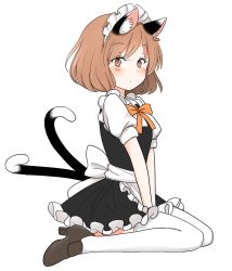 Rule 34 | 1girl, alternate costume, animal ears, apron, between legs, blush, brown footwear, brown hair, cat ears, cat tail, chen, dress, ear piercing, enmaided, frilled dress, frills, full body, hand between legs, kneeling, looking to the side, maid, maid apron, maid headdress, multiple tails, orange ribbon, piercing, ribbon, shiisuu rattamu, short hair, simple background, sitting, solo, tail, thighhighs, touhou, two tails, v arms, white background