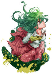 Rule 34 | 1girl, arms behind back, ascot, dain, female focus, from above, green hair, hair over one eye, kazami yuuka, looking up, messy hair, plaid, plaid skirt, plaid vest, red eyes, skirt, skirt set, solo, standing, touhou, vest, wavy hair