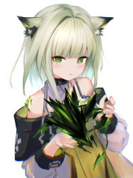 Rule 34 | 1girl, absurdres, animal ear fluff, animal ears, arknights, bare shoulders, blunt bangs, blush, cat ears, closed mouth, creature, dress, green dress, green eyes, green hair, highres, holding, kal&#039;tsit (arknights), long sleeves, looking at viewer, material growth, mon3tr (arknights), off shoulder, oripathy lesion (arknights), short hair, simple background, solo, stethoscope, upper body, white background, yunnasu