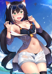 Rule 34 | 1girl, aircraft, animal ear fluff, animal ears, armpit peek, bare shoulders, bikini, bikini under clothes, black bikini, black hair, blue sky, bracelet, breasts, cat ears, cleavage, collarbone, contrail, cowboy shot, day, eyewear on head, fang, green eyes, hands up, highres, jacket, jewelry, karyl (princess connect!), karyl (summer) (princess connect!), long hair, looking at viewer, low twintails, medium breasts, momo no kanzume, multicolored hair, navel, off shoulder, open clothes, open fly, open jacket, open mouth, outdoors, princess connect!, short shorts, shorts, sky, solo, stomach, streaked hair, sunglasses, swimsuit, thigh strap, twintails, very long hair, wading, wardrobe malfunction, water, wet, wet clothes, white shorts