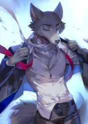 Rule 34 | 1boy, animal ears, animal nose, beastars, black eyes, black jacket, black pants, body fur, claws, closed mouth, collared shirt, commentary, cowboy shot, english commentary, fang, fang out, formal, furry, furry male, grey fur, jacket, legoshi, long sleeves, male focus, necktie, pants, popodunk, red necktie, shirt, snout, solo, suit, tail, undone necktie, untucked shirt, white shirt, wolf boy, wolf ears, wolf tail