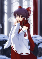 Rule 34 | 1girl, bow, breath, brown hair, cold, detached sleeves, female focus, hair bow, hakurei reimu, japanese clothes, miko, perfect cherry blossom, red eyes, scarf, short hair, snow, solo, touhou, winter, yules