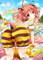 Rule 34 | 1girl, all fours, ass, bare shoulders, blonde hair, blush, brown eyes, brown ribbon, cameltoe, company name, crown, flower, hair ribbon, honey, insect wings, jar, kneehighs, looking at viewer, picpicgram, pink hair, plaid, plaid ribbon, ribbon, shinkai no valkyrie, short hair, short twintails, socks, solo, stinger, twintails, white socks, wings