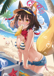 Rule 34 | 1girl, absurdres, animal ear fluff, animal ears, ball, bare shoulders, beach, beachball, bikini, blue archive, blue bikini, blue sky, blurry, blush, breasts, brown eyes, brown hair, cleavage, cloud, day, denim, denim shorts, food, fox ears, fox girl, fox tail, hair between eyes, highres, izuna (blue archive), izuna (swimsuit) (blue archive), looking at viewer, medium breasts, mouth hold, navel, official alternate costume, open mouth, outdoors, palm tree, prock, short hair, shorts, sky, smile, solo, stomach, striped bikini, striped clothes, swimsuit, tail, tree