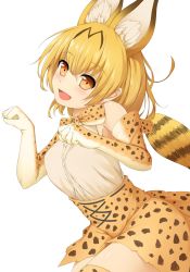 Rule 34 | 10s, 1girl, :d, animal ears, bare shoulders, blonde hair, blush, bow, bowtie, cross-laced clothes, elbow gloves, fur collar, gloves, high-waist skirt, highres, kemono friends, looking at viewer, open mouth, orange eyes, papino, paw pose, serval (kemono friends), serval print, serval tail, shirt, skirt, sleeveless, sleeveless shirt, smile, solo, striped tail, tail, taut clothes, taut shirt, thighhighs, white background, zettai ryouiki