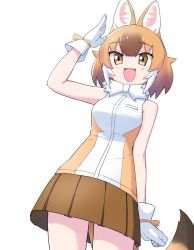 Rule 34 | 1girl, animal ears, arm up, blush, bow, bowtie, breasts, brown eyes, brown hair, brown skirt, dhole (kemono friends), gloves, gradient hair, highres, kemono friends, looking at viewer, medium breasts, multicolored hair, open mouth, pleated skirt, short hair, skirt, sleeveless, smile, solo, tail, white bow, white bowtie, white gloves, white hair, yachima tana