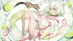 Rule 34 | 1girl, ahoge, animal, animal ear fluff, animal ears, artist name, asymmetrical legwear, blouse, choker, colored shoe soles, colored tips, fang, ferret, ferret ears, ferret girl, ferret tail, floating, food, fruit, green eyes, green hair, green nails, hair between eyes, jacket, laimu (vtuber), lime (fruit), long hair, multicolored hair, multicolored nails, nail polish, open mouth, pink nails, ribbon, shirt, shoes, signature, solo, tail, thighhighs, vinesauce, virtual youtuber, water, weasel, white footwear, white hair, white jacket, yenkoes