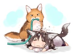 Rule 34 | :3, = =, animal ears, barefoot, black hair, black shorts, blush, chibi, fox ears, fox tail, highres, hot, long sleeves, lying, mouth hold, on stomach, original, parted lips, shirt, shorts, sparkle, sukemyon, tail, water, water pipe, wide face