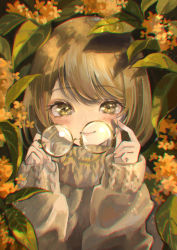 Rule 34 | 1girl, autumn, blush, brown hair, closed mouth, commentary request, day, eyelashes, unworn eyewear, glasses, hands up, highres, holding, holding removed eyewear, leaf, light particles, long sleeves, marutani, nature, orange hair, original, osmanthus, round eyewear, smile, solo, straight-on, sweater, turtleneck, turtleneck sweater, upper body, yellow eyes