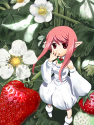 Rule 34 | 1girl, fairy, flower, food, fruit, lowres, mini person, minigirl, oekaki, pink hair, pointy ears, solo, strawberry, strawberry blossoms