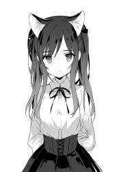 Rule 34 | 1girl, animal ears, arms behind back, bad id, bad twitter id, blouse, cat ears, greyscale, hashimoto mari, high-waist skirt, long hair, looking at viewer, mari (rubymaririn), meme attire, monochrome, original, parted lips, shirt, simple background, skirt, solo, twintails, upper body, virgin killer outfit, white background, white shirt