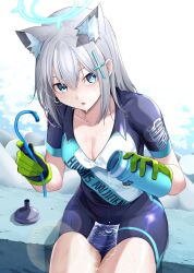 Rule 34 | 1girl, animal ear fluff, animal ears, bike jersey, blue archive, blue eyes, blue shorts, blush, bottle, breasts, chicke iii, cleavage, cross hair ornament, drinking straw, extra ears, gloves, green gloves, grey hair, hair between eyes, hair ornament, halo, highres, leaning forward, lens flare, looking at viewer, medium breasts, official alternate costume, parted lips, pouring, pouring onto self, shiroko (blue archive), shiroko (cycling) (blue archive), short sleeves, shorts, sitting, solo, sweat, wakamezake, water