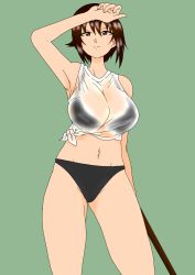 Rule 34 | 1girl, arm up, bikini, black bikini, breasts, closed mouth, commentary, girls und panzer, grey background, half-closed eyes, highres, holding, holding hose, hose, large breasts, looking at viewer, navel, nishizumi maho, niwa (niwade 5656re), no pants, see-through, shirt, short sleeves, simple background, sleeveless, sleeveless shirt, smile, solo, standing, swimsuit, t-shirt, tied shirt, wet, wet clothes, white shirt, wiping forehead