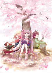 Rule 34 | 1girl, 2boys, a-i-red, asbel lhant, blonde hair, brown hair, cherry blossoms, ascot, elbow gloves, closed eyes, gloves, green shirt, hat, multiple boys, purple eyes, purple hair, richard (tales), shirt, sitting, sophie (tales), tales of (series), tales of graces, tree, twintails, aged down