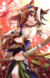 Rule 34 | 1girl, absurdres, animal ears, arrow (projectile), autumn leaves, bandages, bow, breasts, brown hair, cleavage, collar, collarbone, commentary request, cowboy shot, detached sleeves, ear ornament, from below, hair between eyes, highres, japanese clothes, long hair, medium breasts, mouth hold, multicolored hair, nobell (bell no5), red eyes, single strap, sleeveless, solo, standing, streaked hair, symboli rudolf (archer of the white moon) (umamusume), symboli rudolf (umamusume), umamusume, v-shaped eyebrows