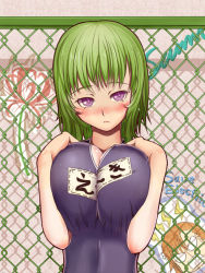 Rule 34 | 1girl, alternate eye color, angry, blue eyes, blush, breasts squeezed together, breasts, cameo, chibi, chibi inset, female focus, fence, ginko (nico), green hair, large breasts, misaka mikoto, name tag, no headwear, no headwear, nose blush, one-piece swimsuit, purple eyes, school swimsuit, shiki eiki, short hair, solo, swimsuit, toaru majutsu no index, touhou