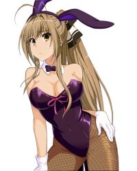 Rule 34 | 10s, 1girl, ahoge, amagi brilliant park, animal ears, antenna hair, bare shoulders, black eyes, blush, bow, bowtie, breasts, brown hair, cleavage, covered navel, detached collar, fake animal ears, female focus, fishnet pantyhose, fishnets, gloves, hair ornament, hair ribbon, large breasts, leotard, long hair, looking at viewer, pantyhose, playboy bunny, ponytail, rabbit ears, ribbon, sento isuzu, simple background, solo, standing, sweat, sweatdrop, thighs, third-party edit, white background, yellow eyes