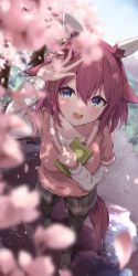 Rule 34 | 1girl, absurdres, alternate costume, animal ears, blue eyes, blurry, blurry foreground, blush, casual, cherry blossoms, commentary request, hair between eyes, hair ornament, highres, horse ears, horse girl, horse tail, looking at viewer, medium hair, pink hair, sakura chiyono o (umamusume), solo, tail, taitan, umamusume