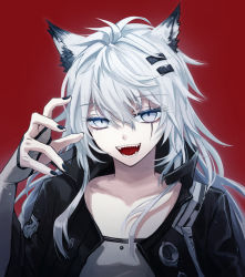 Rule 34 | 1girl, animal ear fluff, animal ears, arknights, black nails, claw pose, collarbone, elbow gloves, fingerless gloves, gloves, grey eyes, hair ornament, hairclip, hand up, highres, jacket, lappland (arknights), long hair, messy hair, nail polish, open clothes, open jacket, open mouth, red background, scar, scar across eye, seki mitsu, sharp teeth, solo, teeth, upper body, white hair, wolf ears, wolf girl