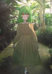 Rule 34 | 1girl, akazhima, alternate costume, alternate hairstyle, blush, botanical garden, bush, closed mouth, collared dress, commentary request, crossed legs, dress, feet out of frame, fern, flower, green hair, highres, indoors, long sleeves, looking at viewer, medium hair, pea pod, photo background, plant request, puffy long sleeves, puffy sleeves, smile, socks, solo, standing, straight-on, sunlight, tree, upturned eyes, voicevox, white flower, white socks, yellow dress, yellow eyes, zundamon