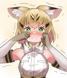 Rule 34 | 10s, 1girl, animal ear fluff, animal ears, bad id, bad twitter id, bare shoulders, blonde hair, blush, bow, bowtie, cat ears, choir (artist), commentary request, crying, elbow gloves, frown, gloves, green eyes, kemono friends, multicolored hair, nose blush, sand cat (kemono friends), short hair, sleeveless, solo, striped, tears, upper body
