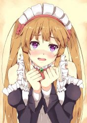 Rule 34 | 10s, 1girl, apron, blush, brown hair, detached sleeves, elf, long hair, looking at viewer, maid, maid apron, maid headdress, myucel foalan, open mouth, outbreak company, pointy ears, ponishi., purple eyes, solo, twintails