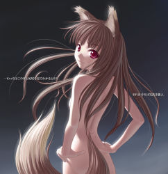 Rule 34 | 00s, 1girl, animal ears, holo, jpeg artifacts, nekopuchi, nude, red eyes, solo, spice and wolf, tail, translation request, wolf ears, wolf tail