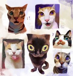Rule 34 | absurdres, alwaysalele, black cat, blue eyes, cat, fangs, highres, meme, original, purple eyes, tabby cat, tongue, tongue out, white cat, yellow eyes
