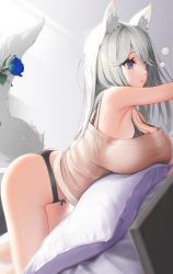 Rule 34 | 1girl, absurdres, all fours, animal ears, ass, bent over, black panties, blue flower, blue rose, breast press, breasts, commentary request, flower, highres, large breasts, looking ahead, nanam (nanam sk), original, panties, pillow, purple eyes, rose, tail, thong, underwear, white hair, wolf ears, wolf girl, wolf tail