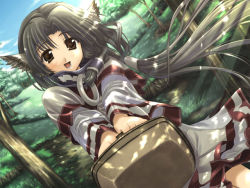 Rule 34 | 1girl, amazuyu tatsuki, animal ears, basket, brown eyes, brown hair, dappled sunlight, day, dutch angle, eruruu, field, floating hair, forest, game cg, hair tubes, holding, japanese clothes, layered sleeves, leaf (studio), looking at viewer, nature, official art, open mouth, sky, solo, sunlight, tree, utawarerumono
