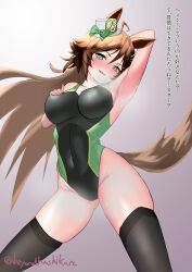 Rule 34 | 1girl, absurdres, ahoge, animal ears, arm behind head, armpits, biyondo (beyondhashikure), black one-piece swimsuit, black thighhighs, breasts, brown hair, commentary request, competition swimsuit, covered navel, cowboy shot, gradient background, green eyes, grey background, hat, highres, horse ears, horse girl, horse tail, large breasts, long hair, looking at viewer, mini hat, mini top hat, mr. c.b. (umamusume), one-piece swimsuit, solo, steaming body, swimsuit, tail, thighhighs, top hat, translation request, twitter username, umamusume, white hat