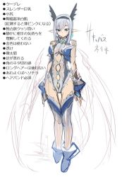 Rule 34 | 10s, 1boy, bare shoulders, blue eyes, breasts, character profile, character request, earrings, full body, highres, jewelry, leotard, male focus, mel/a, pointy ears, shingeki no bahamut, silver hair, sketch, small breasts, solo, standing, thighhighs, translation request