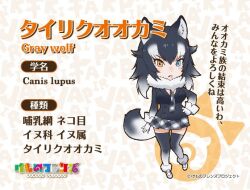 Rule 34 | 1girl, animal ears, extra ears, grey wolf (kemono friends), kemono friends, looking at viewer, official art, simple background, solo, tail, yoshizaki mine