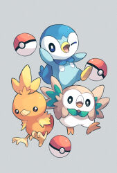 Rule 34 | blue eyes, bright pupils, commentary request, creatures (company), game freak, gen 3 pokemon, gen 4 pokemon, gen 7 pokemon, grey background, highres, looking at viewer, nintendo, one eye closed, open mouth, piplup, poke ball, poke ball (basic), pokemon, rowlet, simple background, teru (245 neko), tongue, torchic, white pupils