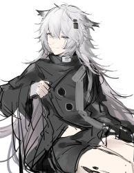 Rule 34 | 1girl, absurdres, animal ears, arknights, black coat, black shorts, closed mouth, coat, gradient background, grey background, grey eyes, highres, joshua (shisanli934), lappland (arknights), long hair, long sleeves, looking at viewer, material growth, messy hair, navel, oripathy lesion (arknights), scar, scar across eye, scar on face, short shorts, shorts, silver hair, sitting, smile, solo, very long hair, wolf ears