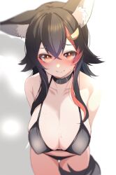Rule 34 | 1girl, animal collar, animal ears, black bra, black collar, black hair, black panties, blush, bra, breasts, cleavage, closed mouth, collar, commentary request, cowboy shot, from above, furrowed brow, highres, hololive, large breasts, long hair, looking at viewer, multicolored hair, ookami mio, orange eyes, osanai sanday, panties, red hair, simple background, smile, solo, streaked hair, sweat, two-tone hair, underwear, underwear only, virtual youtuber, white background, wolf ears