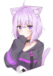 Rule 34 | 1girl, absurdres, ahoge, animal ear fluff, animal ears, belt collar, blush, cat ears, cat tail, collar, cropped torso, crossed bangs, ears down, grey sweater, hair between eyes, hand up, highres, hololive, looking at viewer, nekomata okayu, nekomata okayu (1st costume), parted bangs, purple eyes, purple hair, racchi., short hair, simple background, sleeves past wrists, solo, sweater, tail, upper body, virtual youtuber, white background